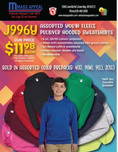 Assorted Youth Hooded Sweatshirt